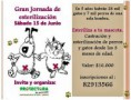 /album/jornadas-de-esterilizacion-en-curico-cada-dos-meses/jornada-esterilizacion-junio-jpg/